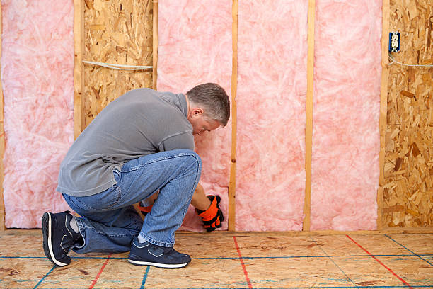 Best Specialized Insulation Services in Chamberlain, SD